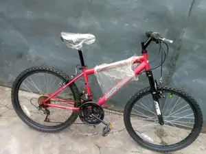 Rallye Teenager Sport Bicycle