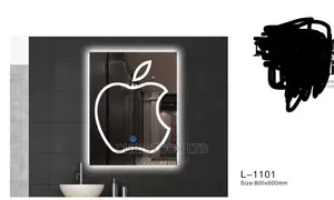 LED Mirror L-1101