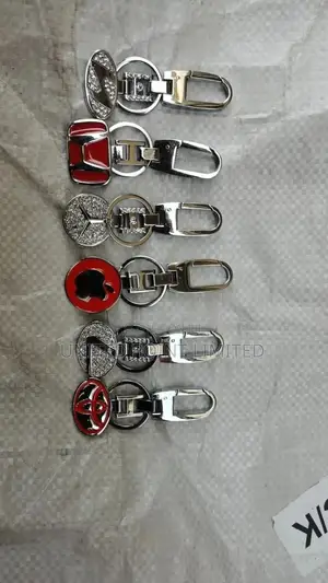 Iron (Only) Key Holder for All Cars Available