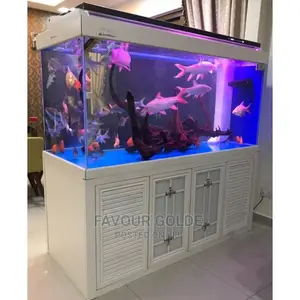 Aquarium Set-Up