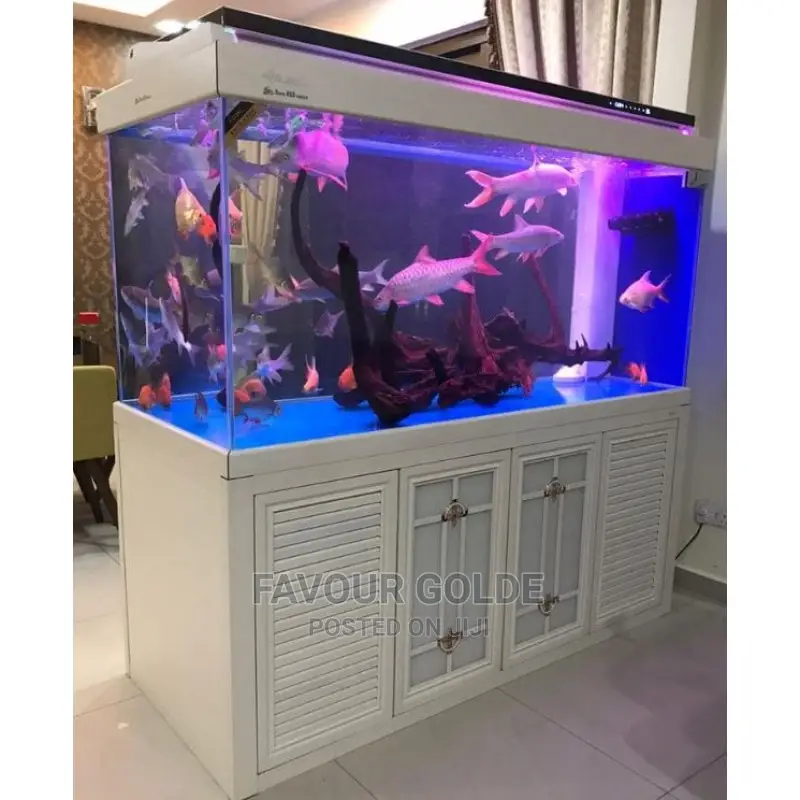 Aquarium Set-Up
