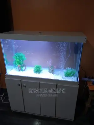 Aquarium Design