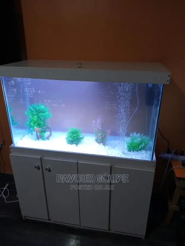 Aquarium Design
