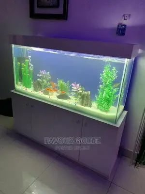 Aquarium Interior