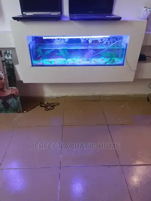 Aquarium for Tv Console