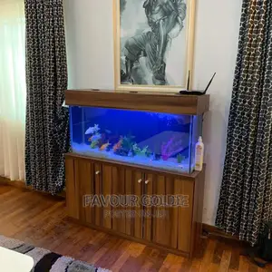 Aquarium Interior