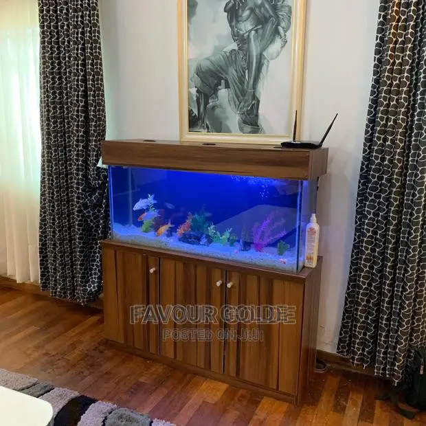 Aquarium Interior