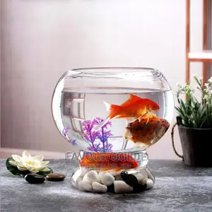 Fish Bowl Interior