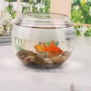 Fish Bowl Interior