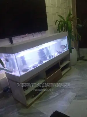 Aquarium Long of 5ft