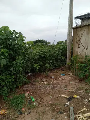 One Plot of Land for Sale at Avina Properties