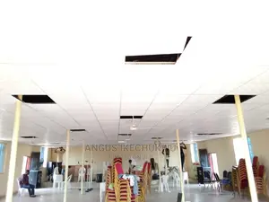 Suspended Ceiling With Installation