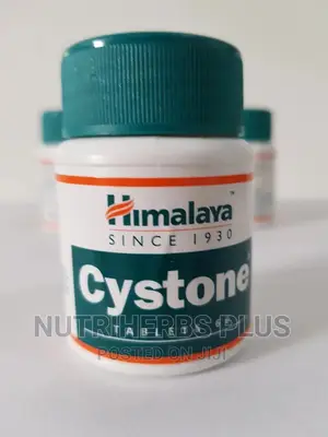 Get Rid of Kidney Stones and Painful Urination Permanently