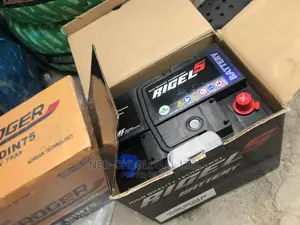 High Performance Battery 75ahs Regel