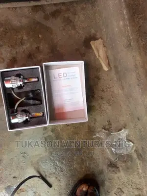 Halogen Bulb for All Kinds of Headlight Available