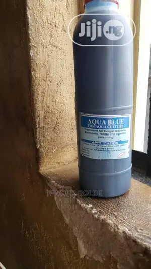 Aqua Blues
