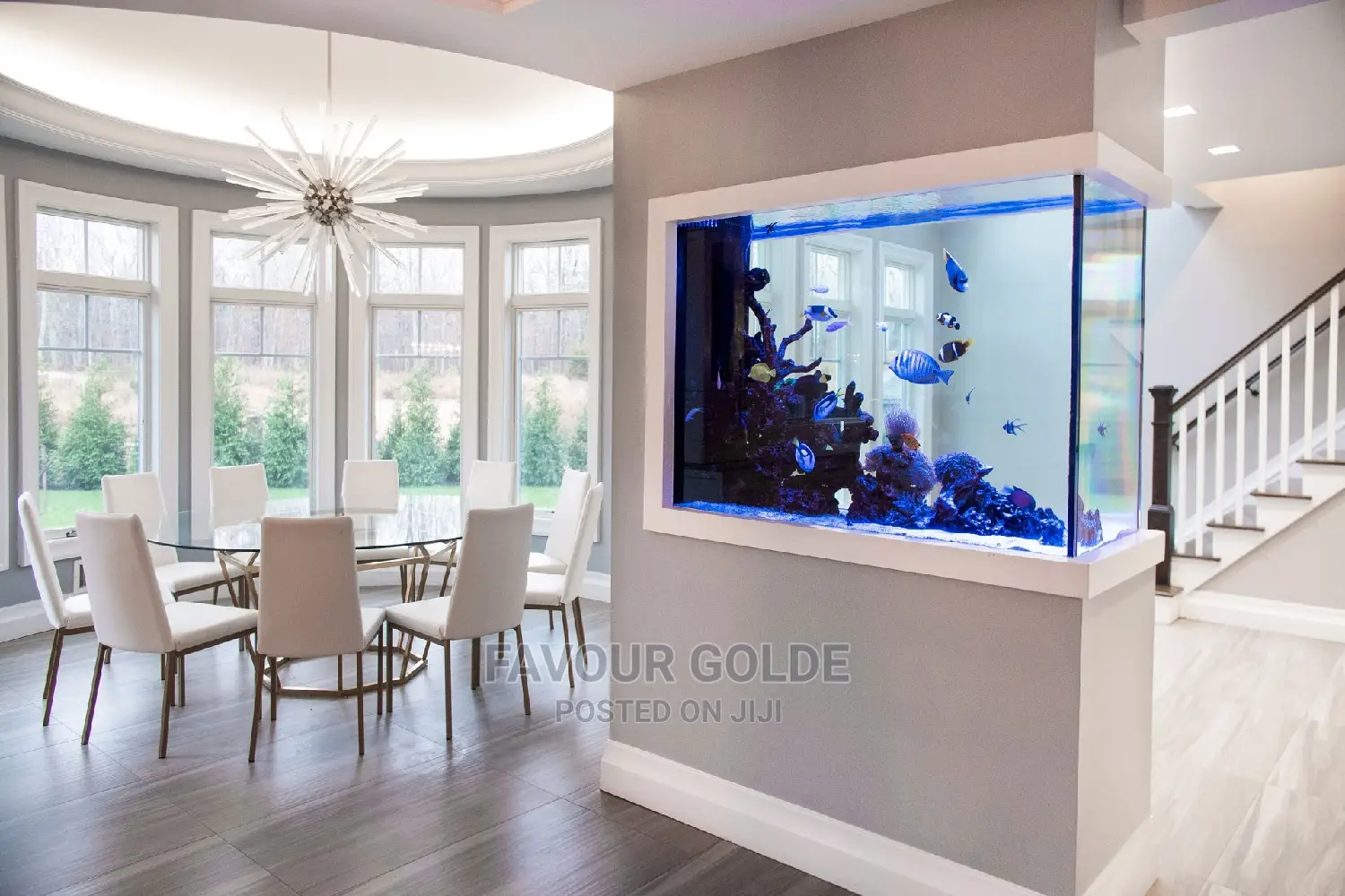 Aquarium Interior