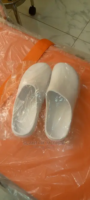 Nursing Shoes for Clinicals