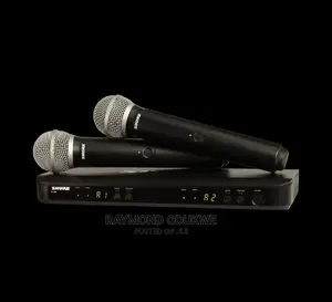 Shure Wireless Microphone BLX 288/Pg58