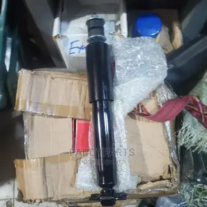 Chevrolet Express Shock Absorber