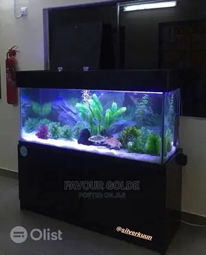 Aquarium Interior