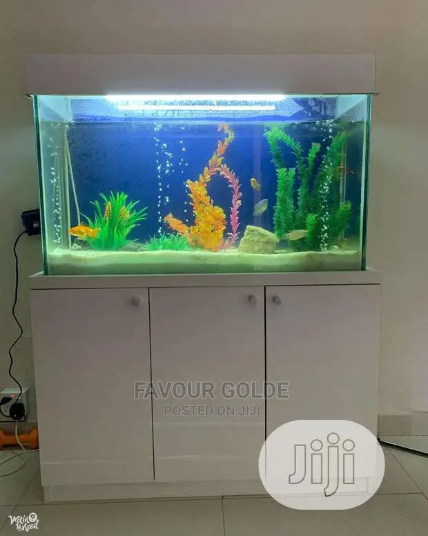 Customize Aquarium