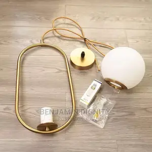 Single Drop Pendant Light 