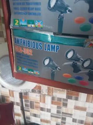 Amphibious Fountain Lamp