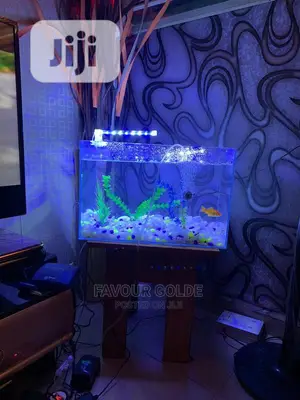Table Top Aquarium Design