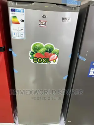 Nexus Upright Freezer Nx 262
