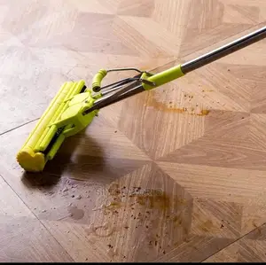 Sponge Mop