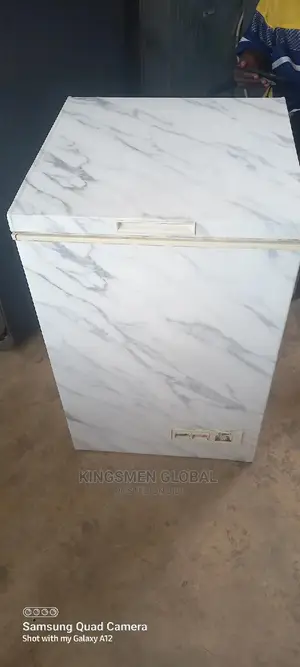 High Quality Chest Freezer Made in Germany With Copper Coil