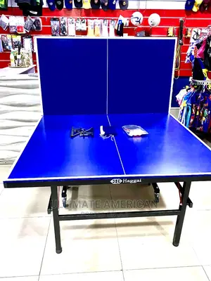 Haggai Table Tennis Outdoor