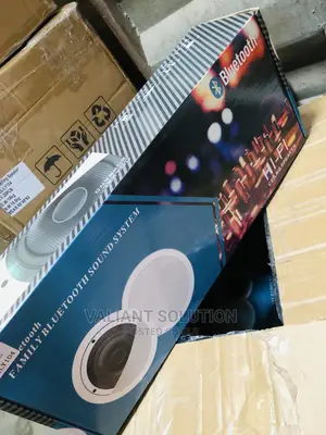 Bluetooth Speaker Ceiling
