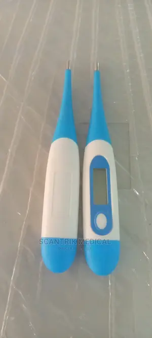 Portable Healthy Digital Baby Thermometer