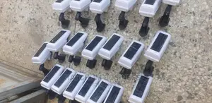 Solar Security Light