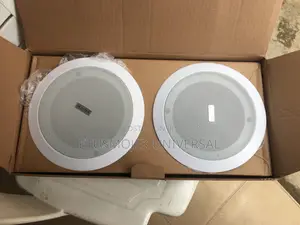 20wstts Bluetooth Ceiling Speaker