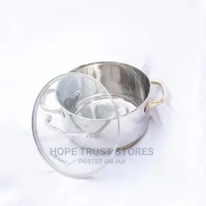 Stainless Steel Cooking Pot