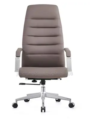 Tovic Unique Executive Office Chairs