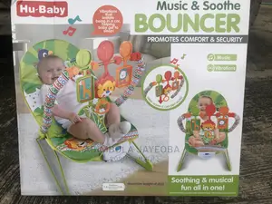 Baby Bouncer for the Child You Love