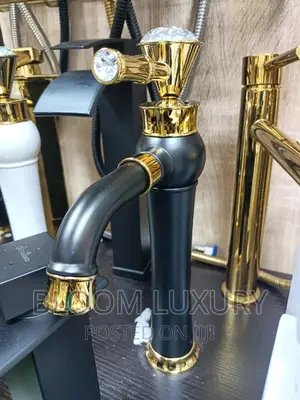 Unique Gold And Black Basin Faucet
