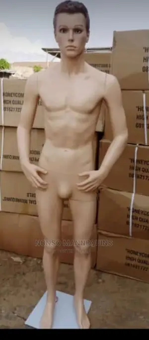 Smd1 Plastic Male Mannequins.