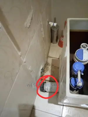 Plumbing Services and Repairs