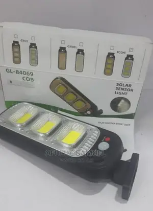 Solar Sensor Security Light