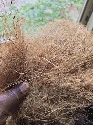 Coconut Fiber for Bio Digester