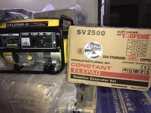 Elepaq Constant SV2500 Manual Start Generator-Portable