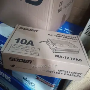 Sooer Intelligent Battery Charger