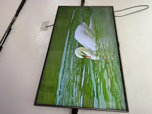 43” Samsung 2020 Uhd Full Smart With the Full Smart Options