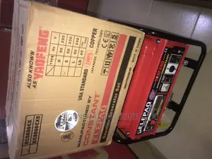 Elepaq Ec5800cx Constant Manual Start Generator-Usa Standard
