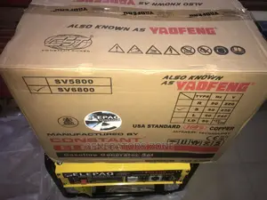 4.5kva Elepaq Constant Manual Starter Generator-100% Copper